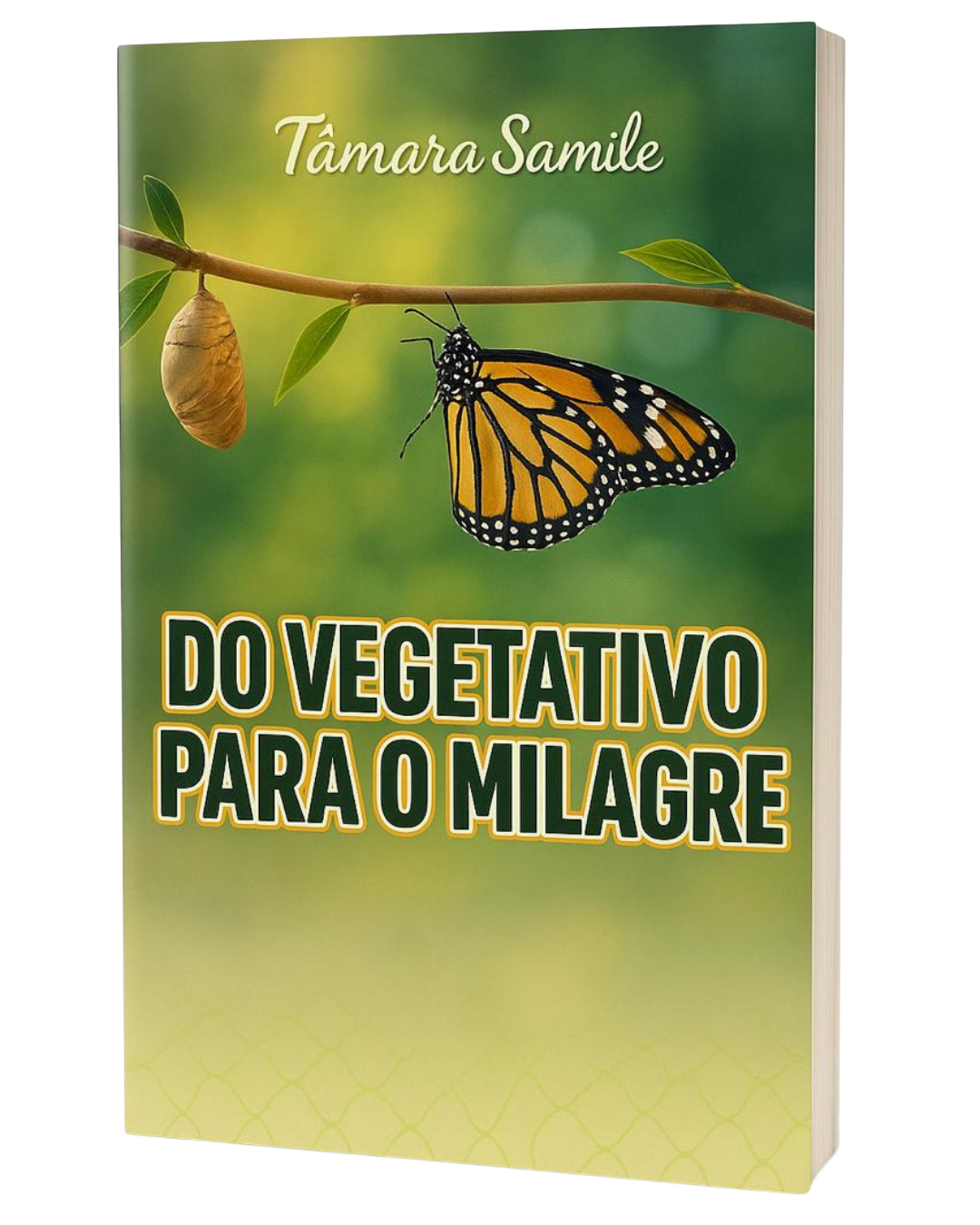 Do Vegetativo para o Milagre